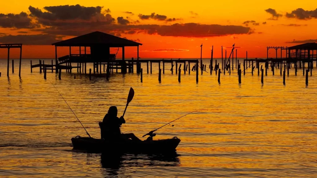 All Types of Fishing