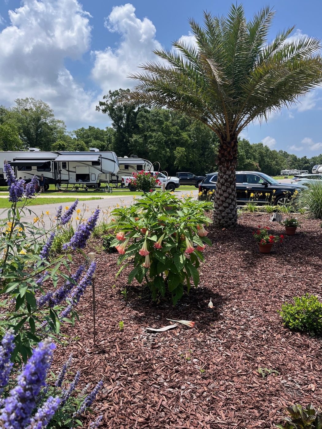 Blue Heron Escape RV Resort